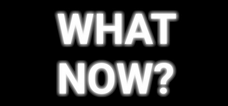 WHAT NOW? - The Social Experiment Game