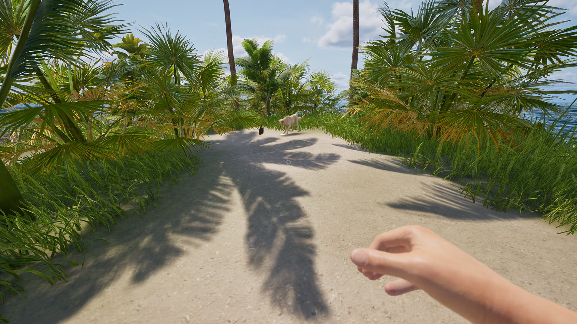 Catch&Cargo screenshot 4