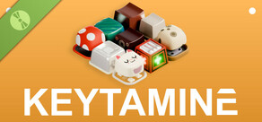 Keytamine Demo
