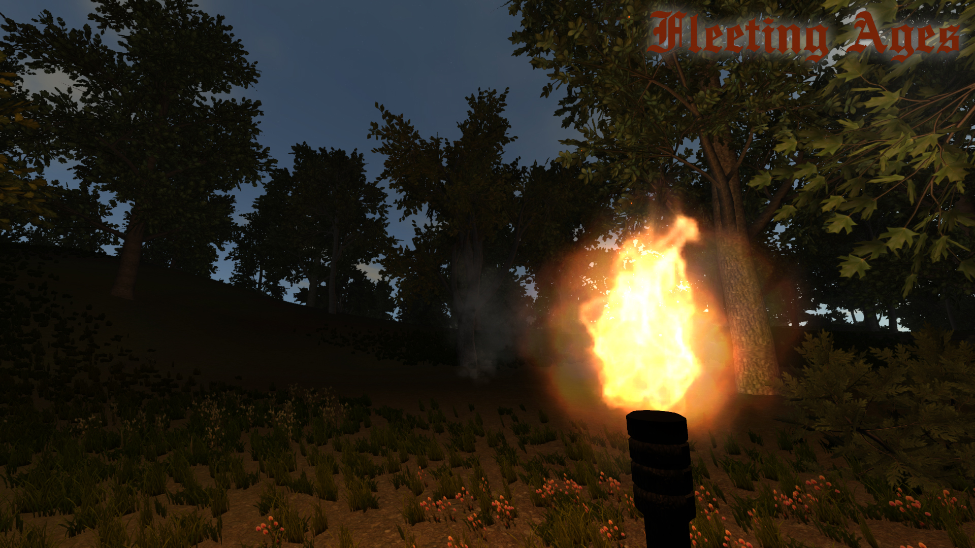Fleeting Ages screenshot 5