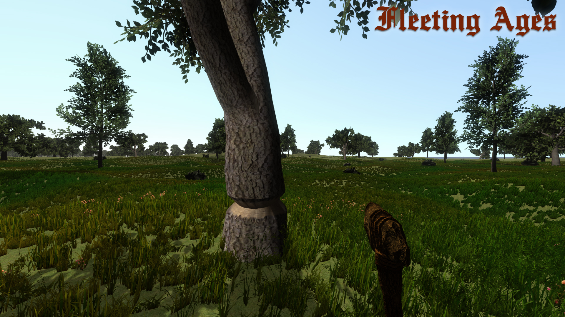Fleeting Ages screenshot 13