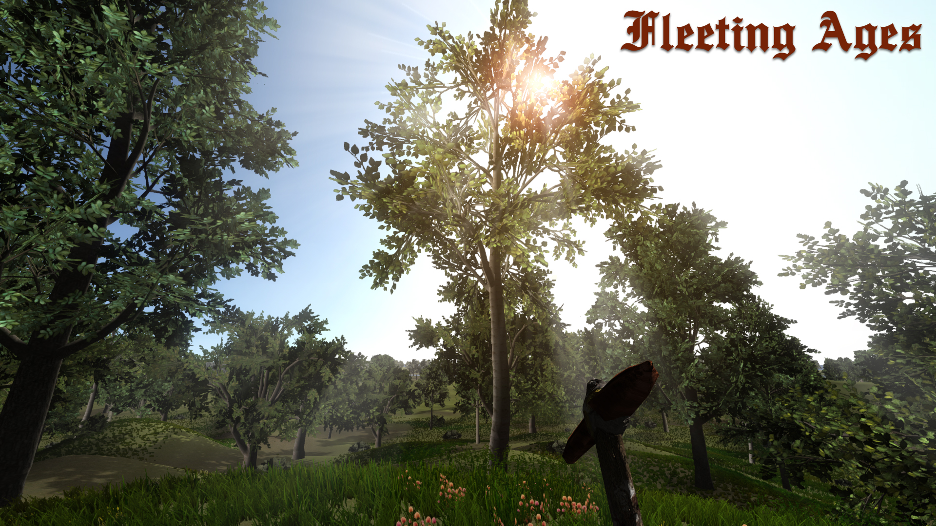 Fleeting Ages screenshot 9