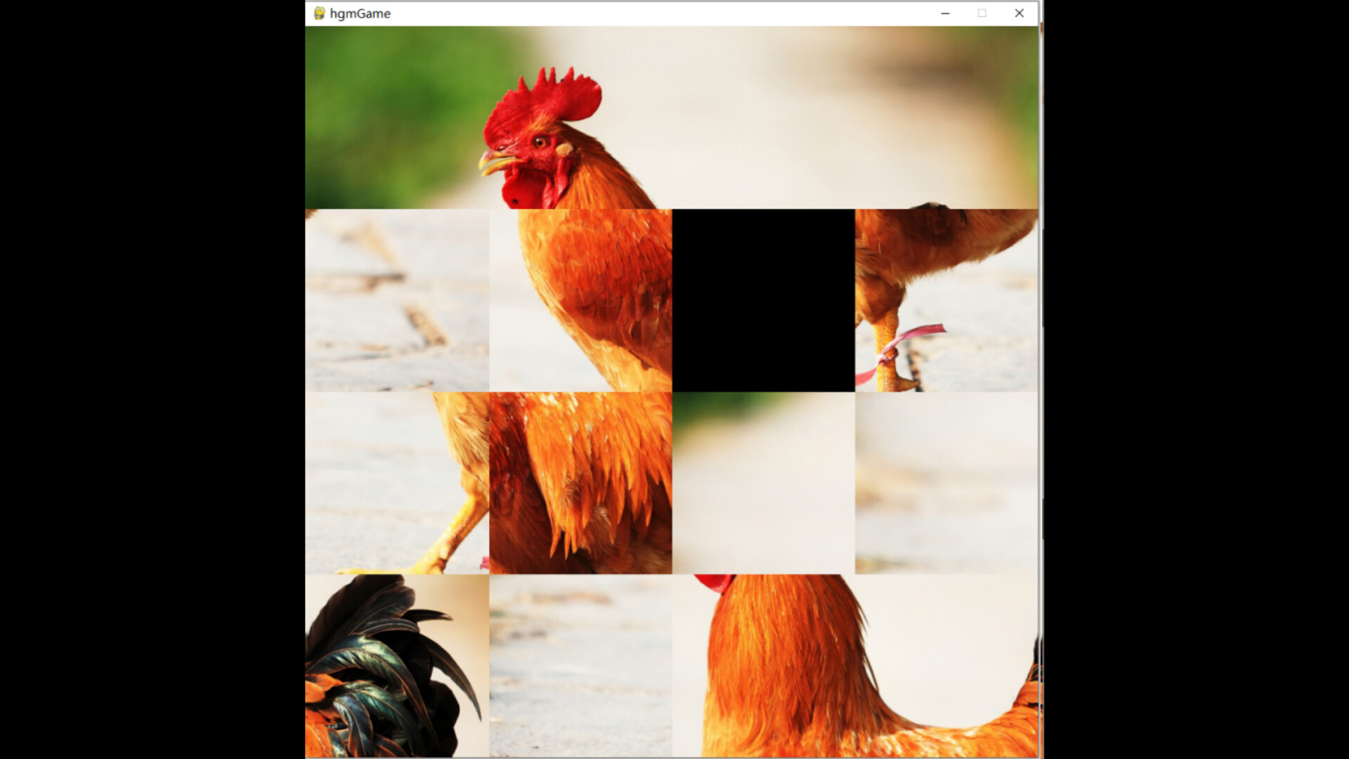 hgmGame-rooster screenshot 5