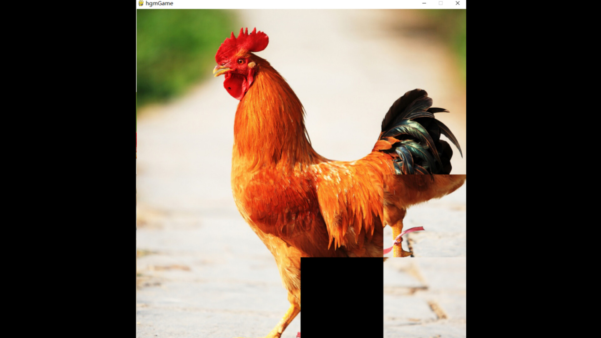 hgmGame-rooster screenshot 3