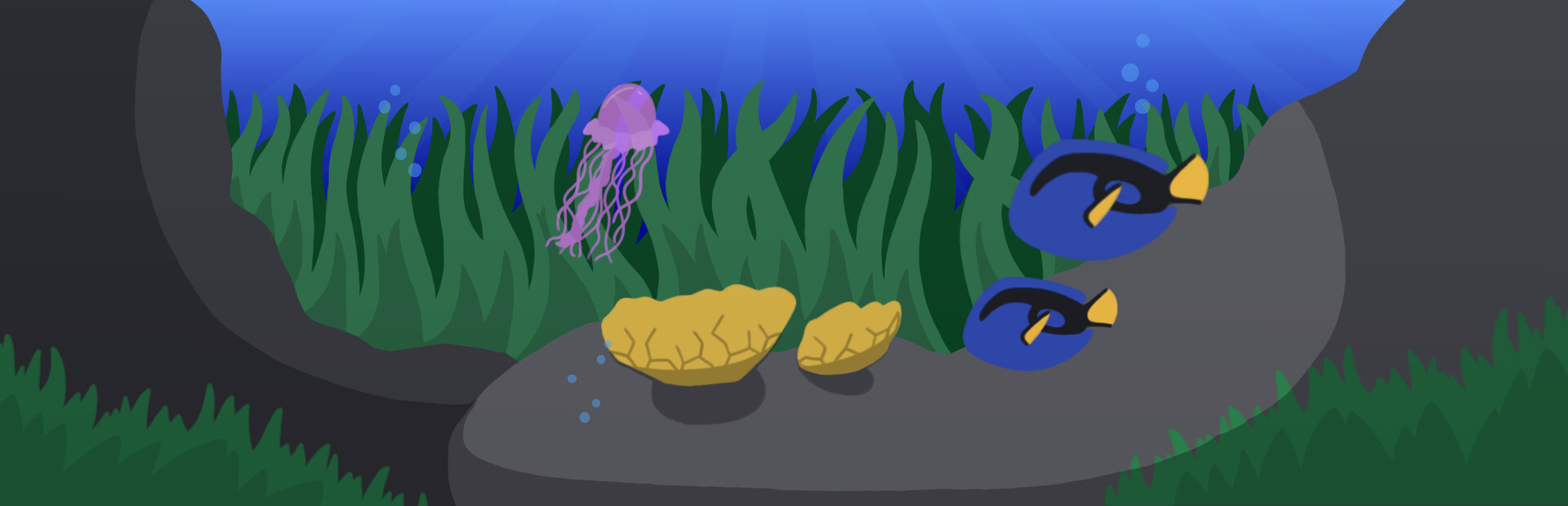 Wonders of the Deep