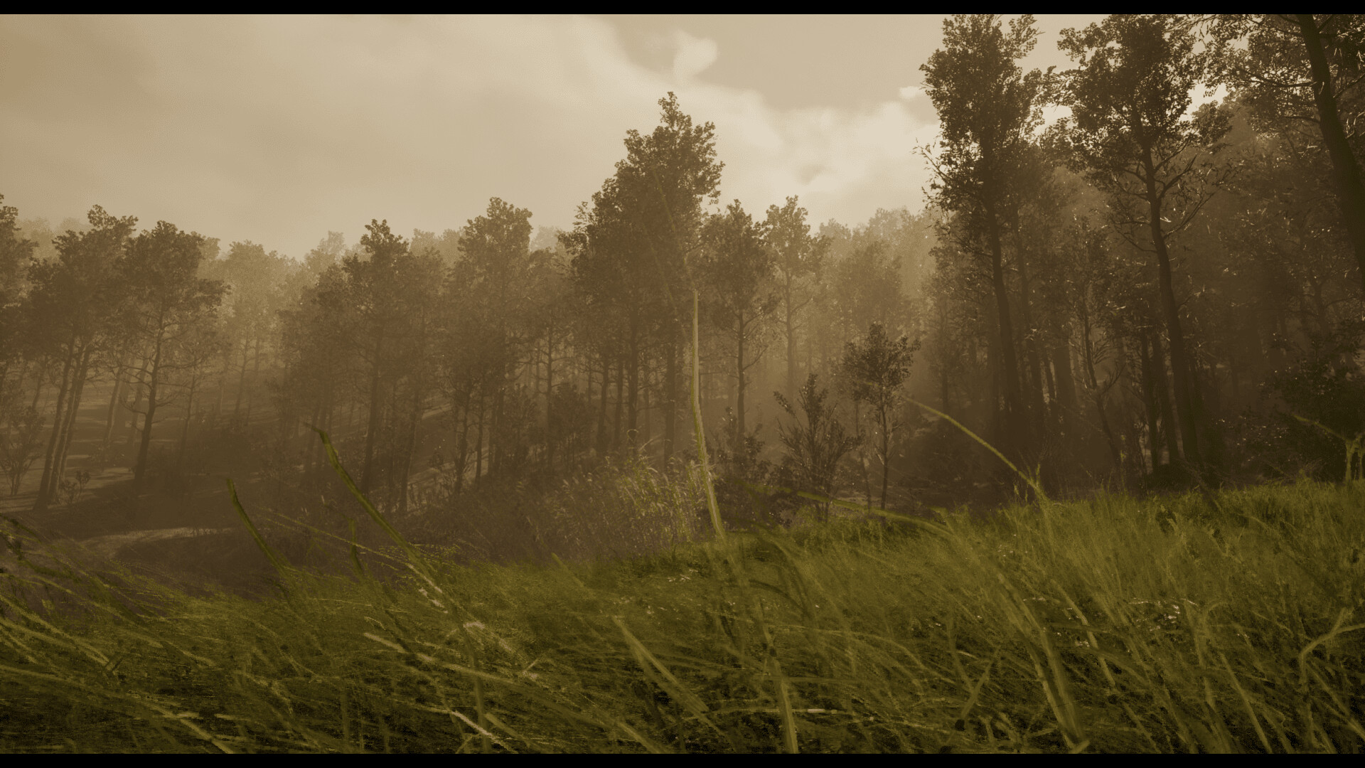 Withering Horrors screenshot 5