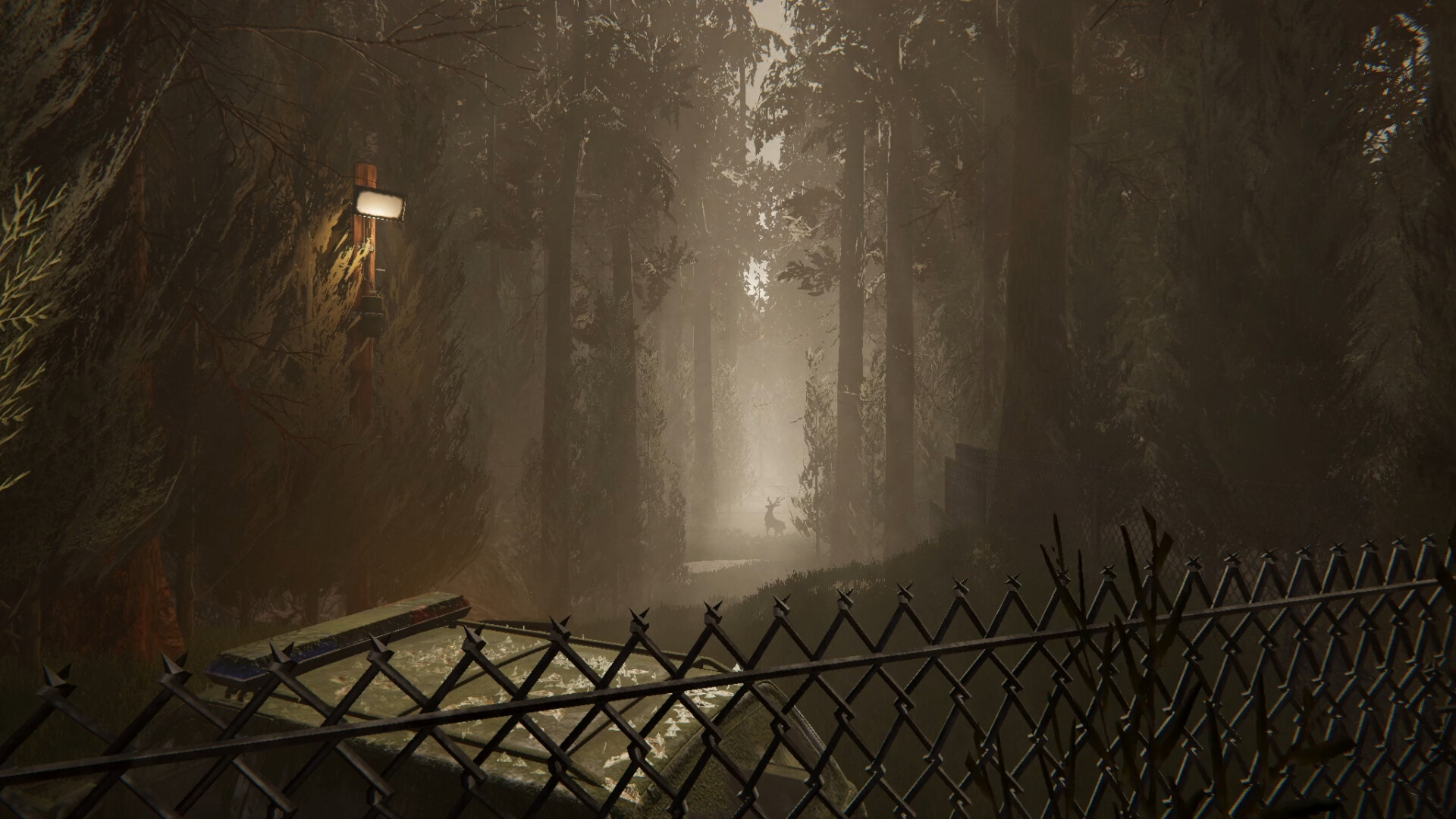Silvanis screenshot 2