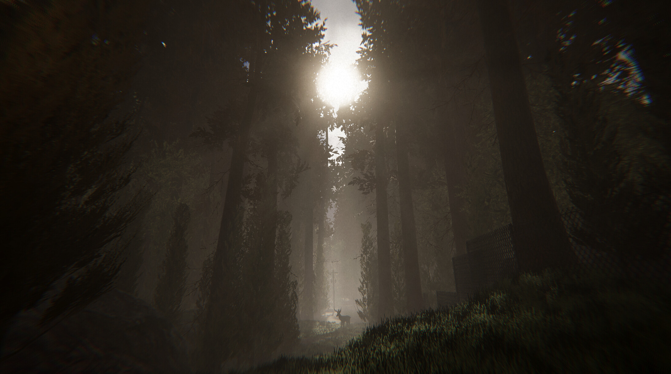 Silvanis screenshot 1