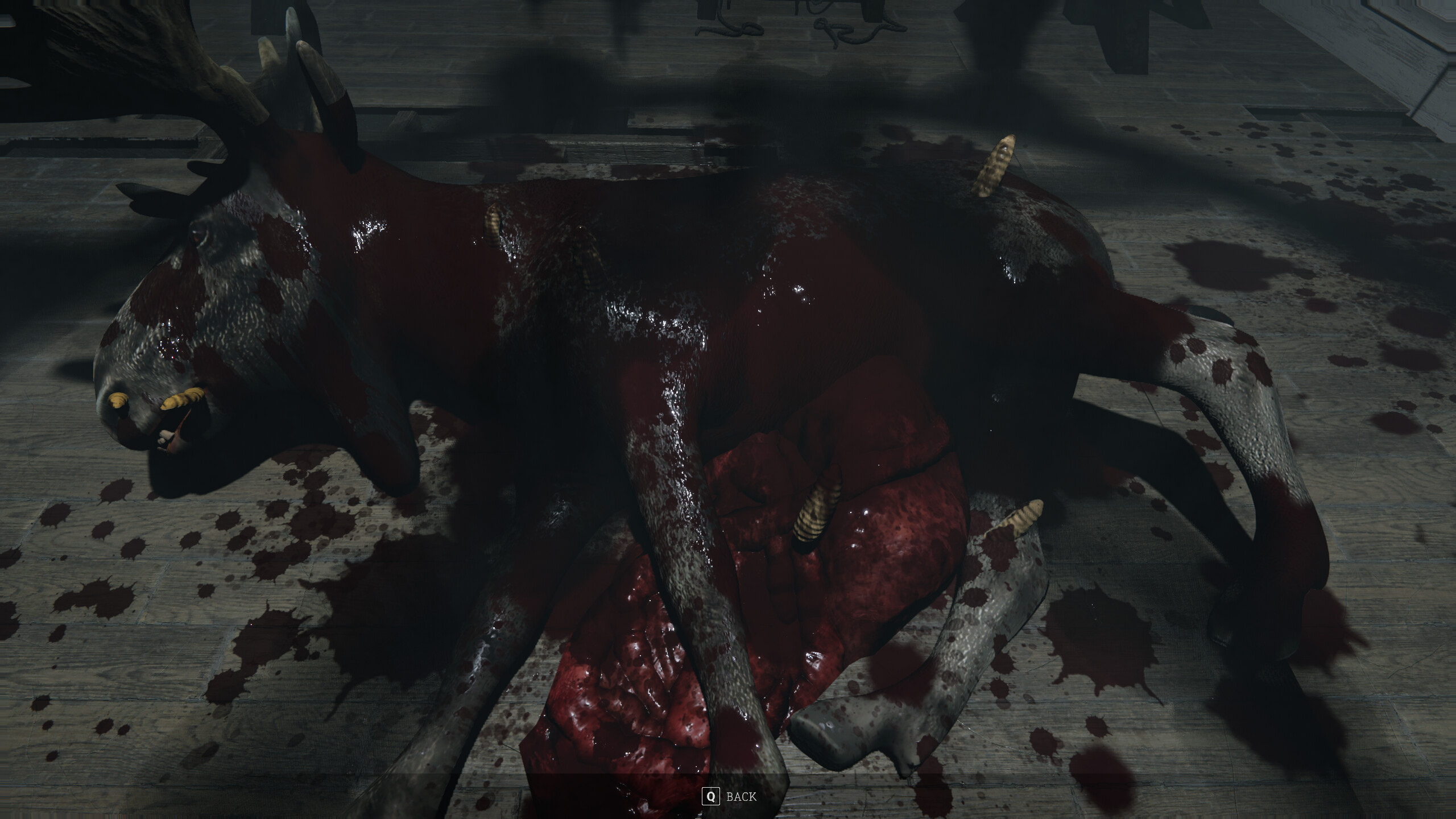 Skinrot screenshot 20