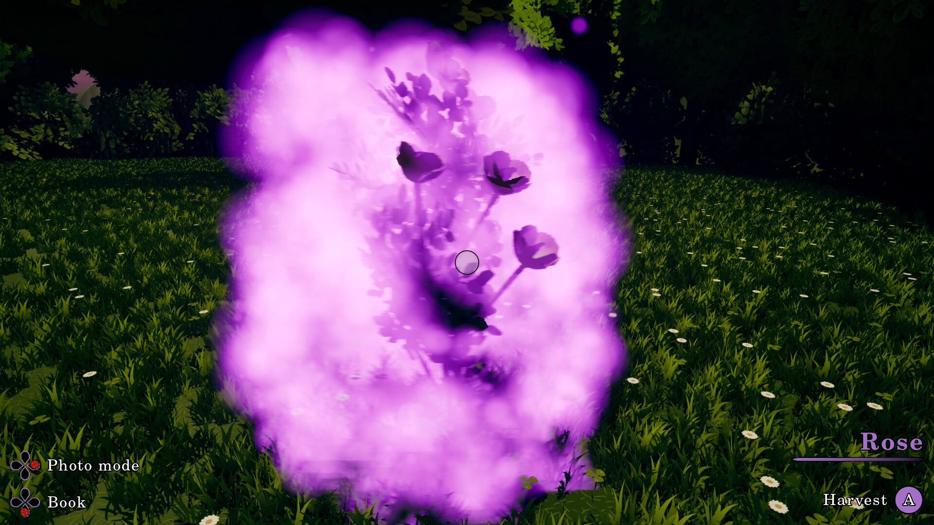 Flowerbloom Cottage screenshot 7