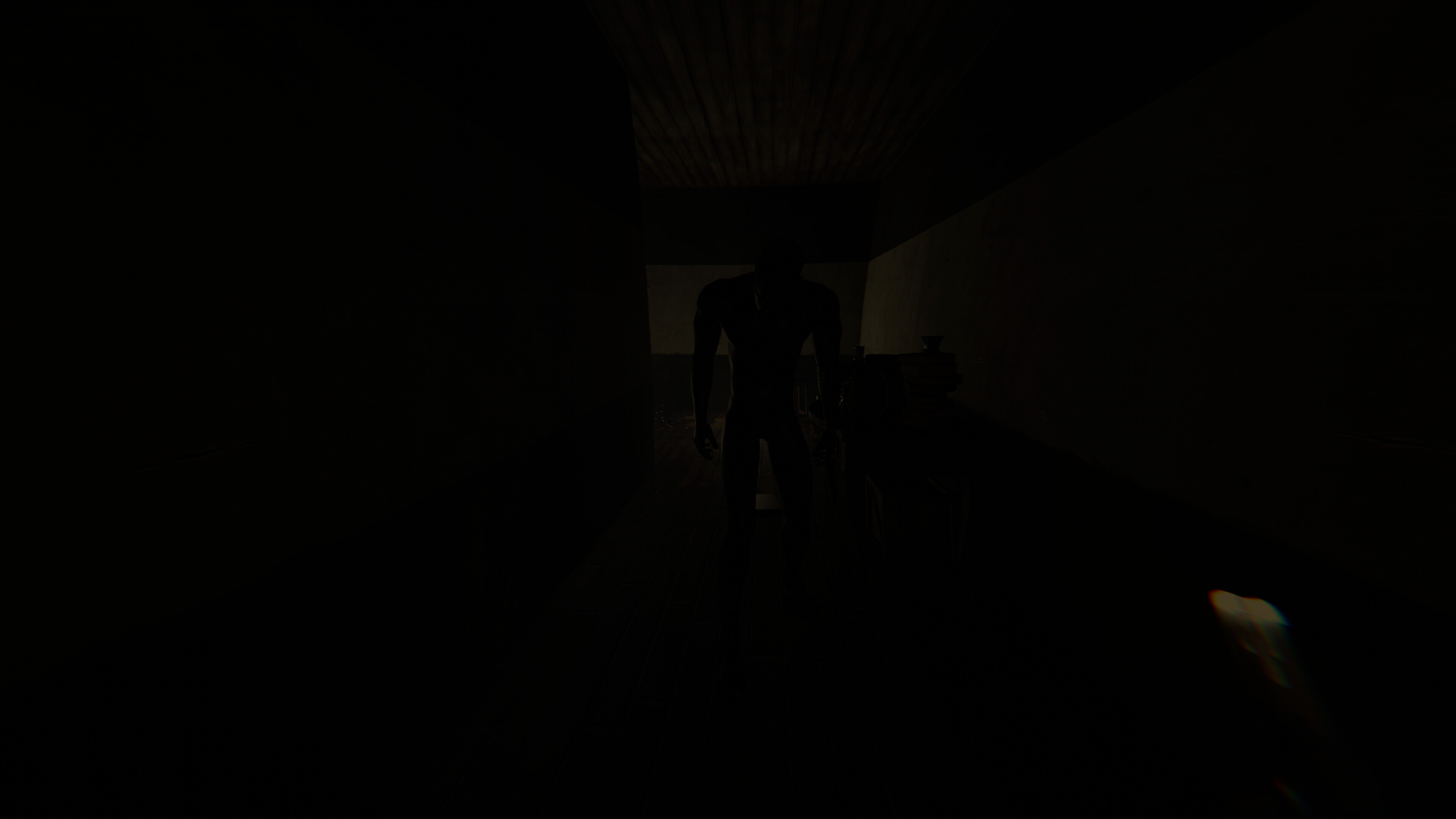 Anaria screenshot 10