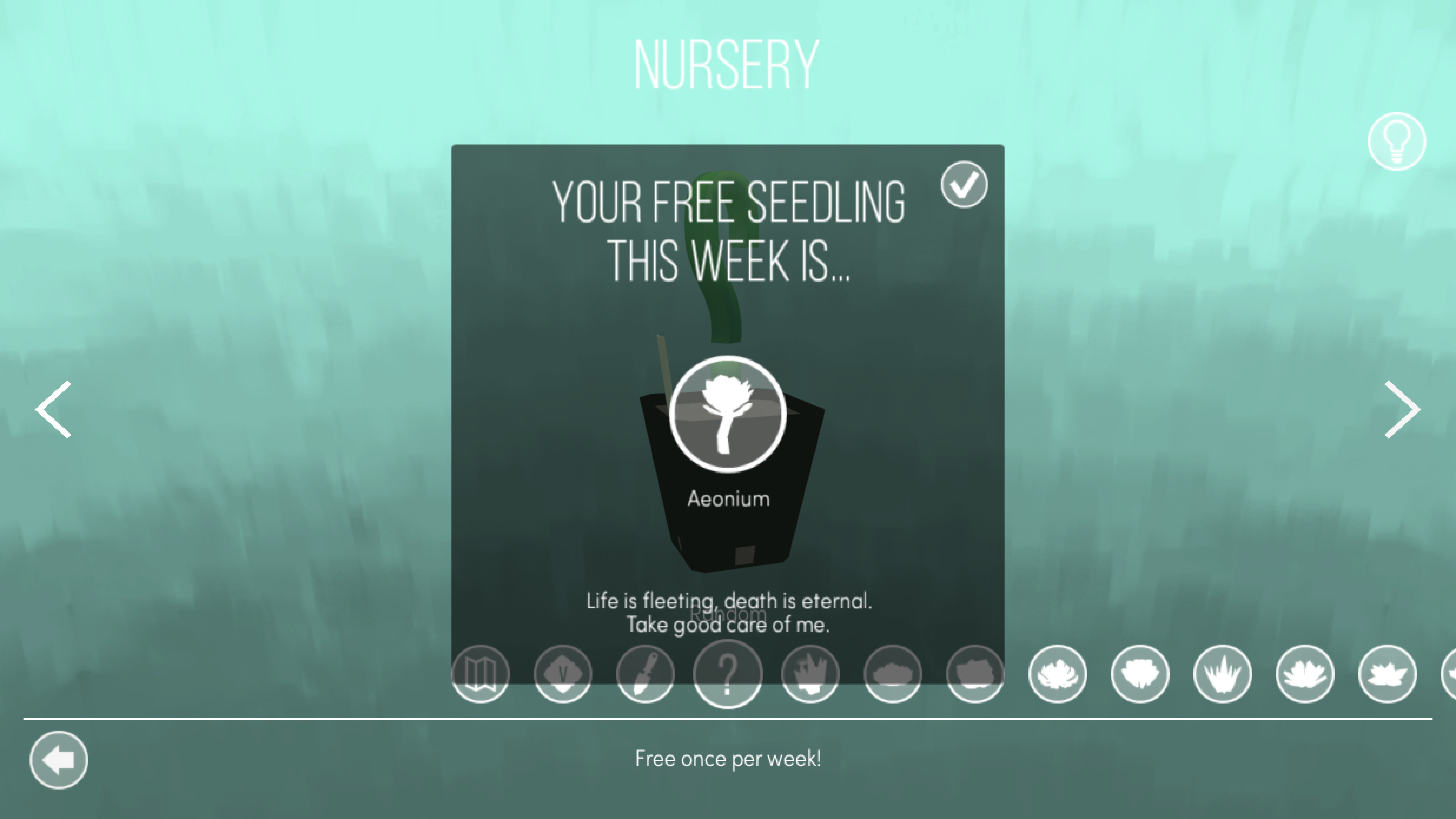 Viridi screenshot 4