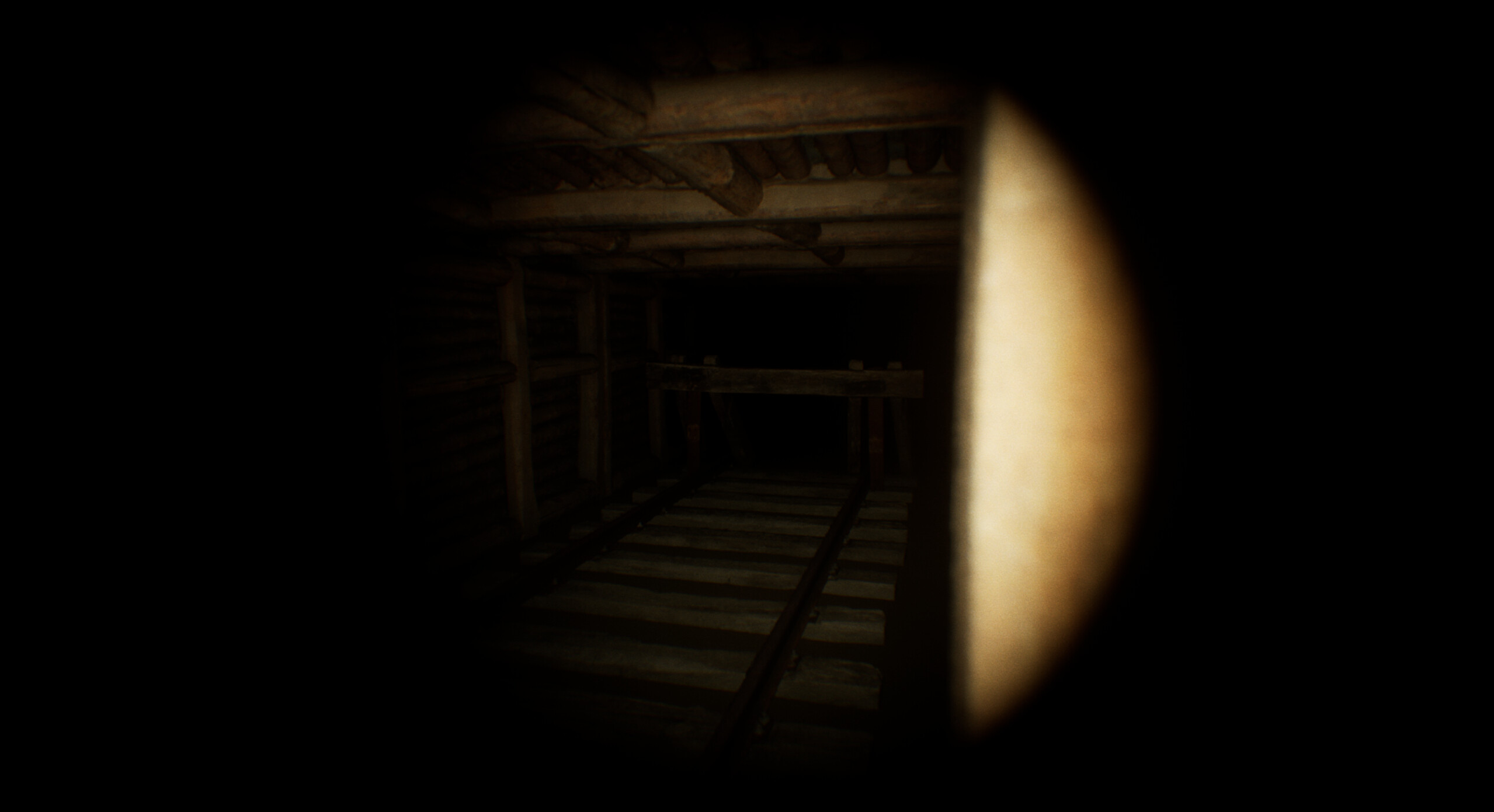 The Protagonist screenshot 4