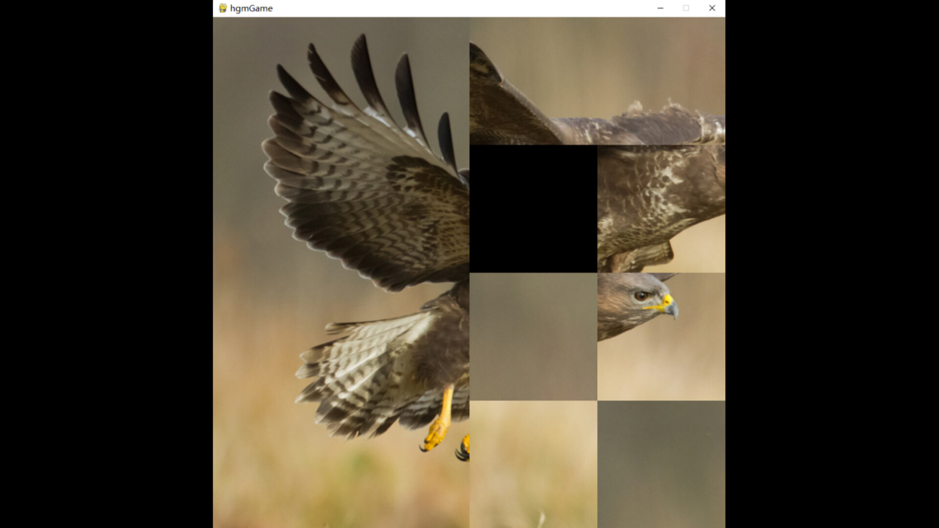hgmGame-eagle screenshot 4