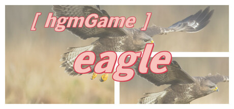 hgmGame-eagle Cover Image