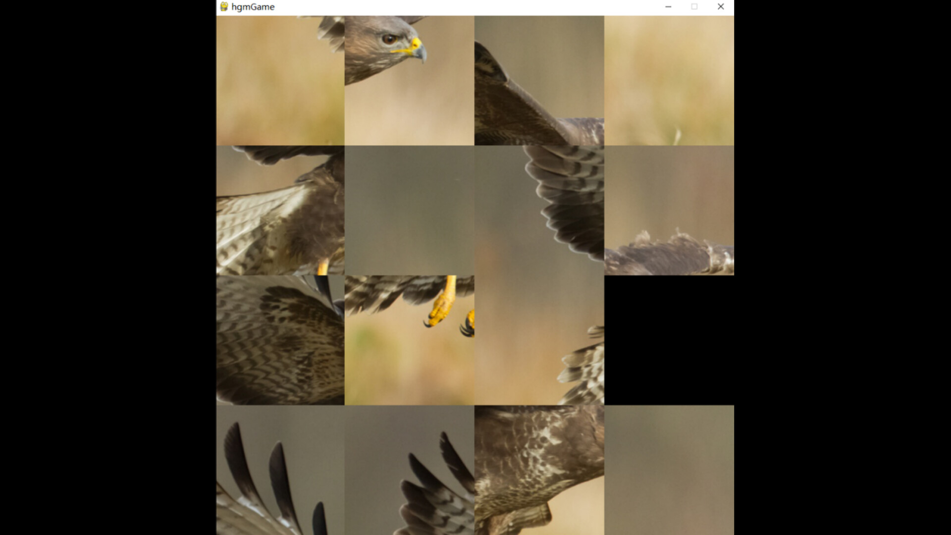 hgmGame-eagle screenshot 1