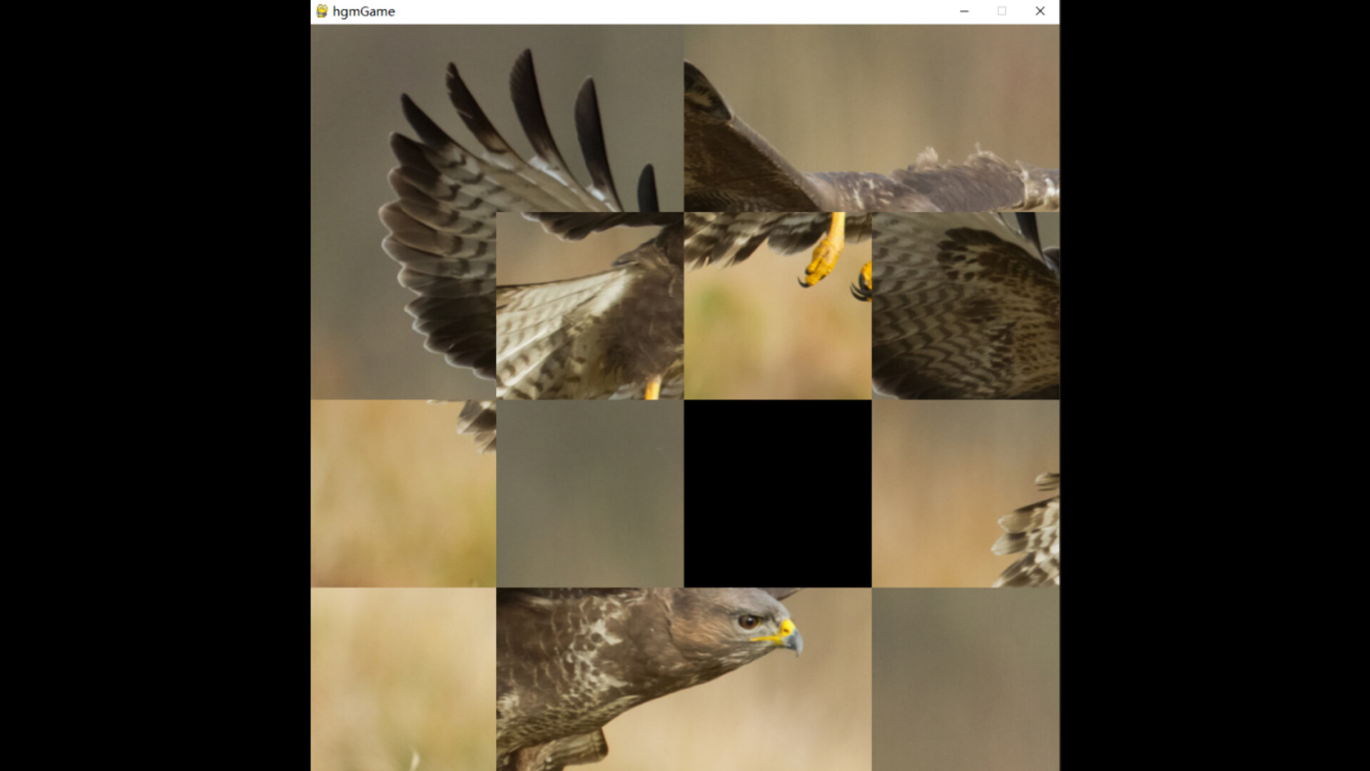 hgmGame-eagle screenshot 2
