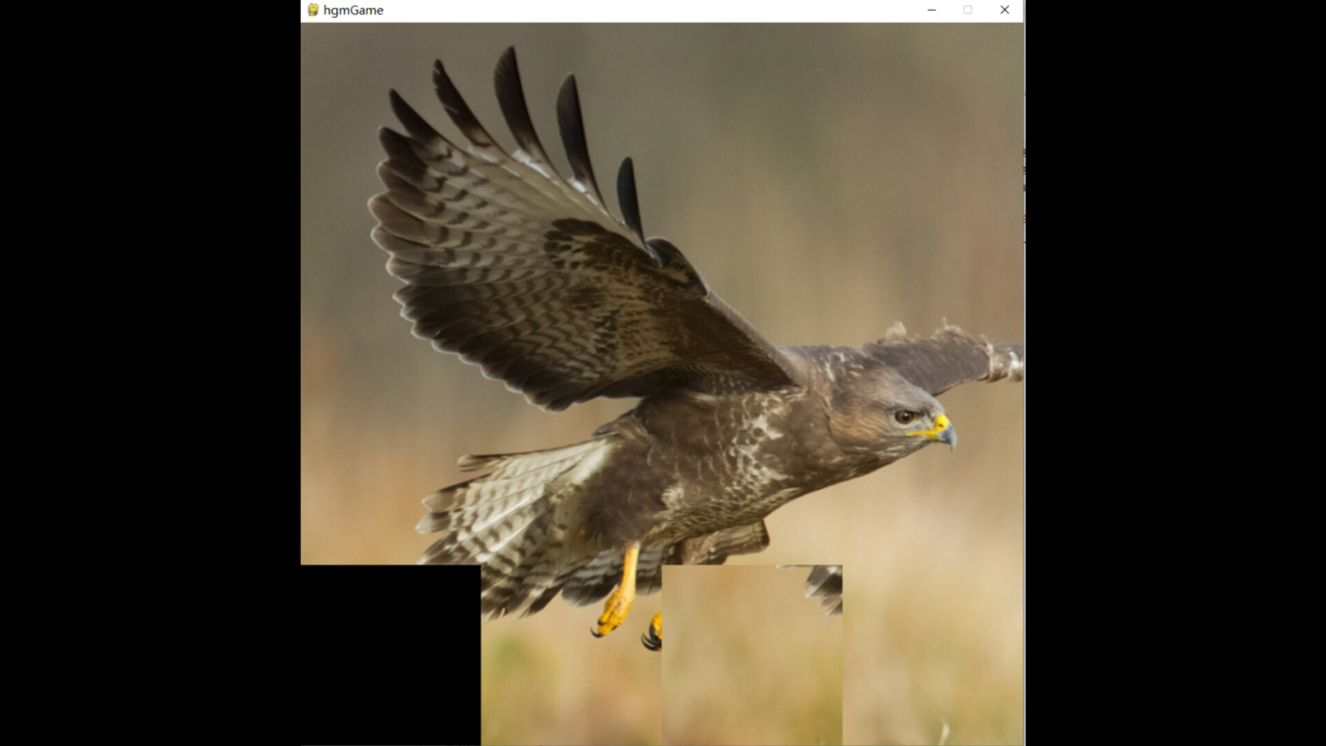 hgmGame-eagle screenshot 5
