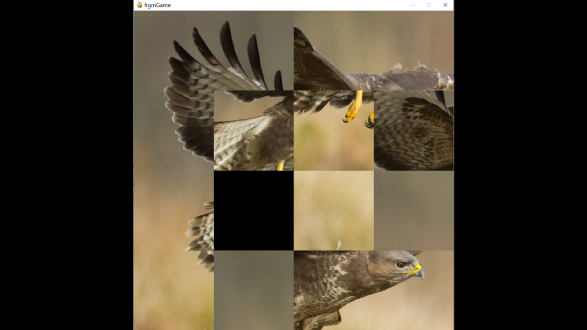 hgmGame-eagle screenshot 3