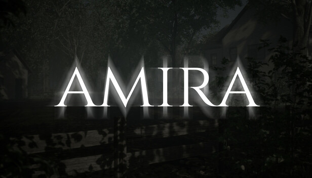amira net worth