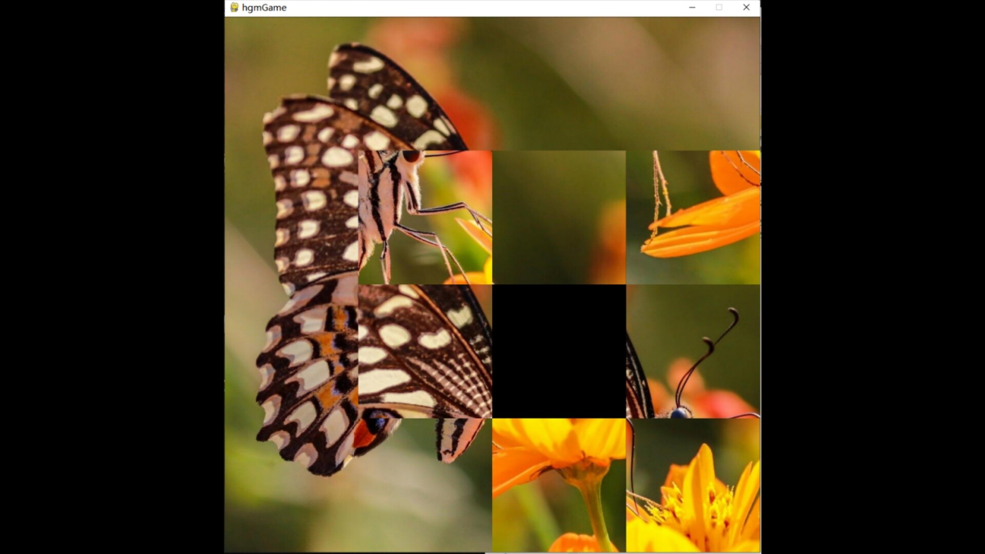 hgmGame-butterfly screenshot 2