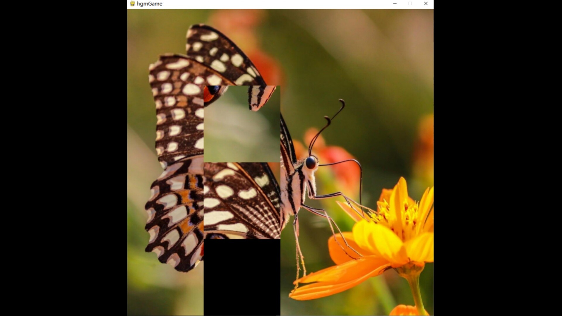 hgmGame-butterfly screenshot 4