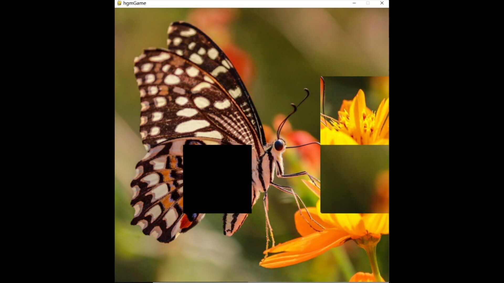 hgmGame-butterfly screenshot 1