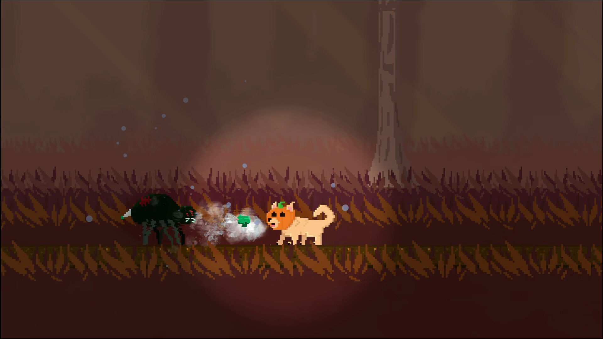 Pumpkin & Patch screenshot 1
