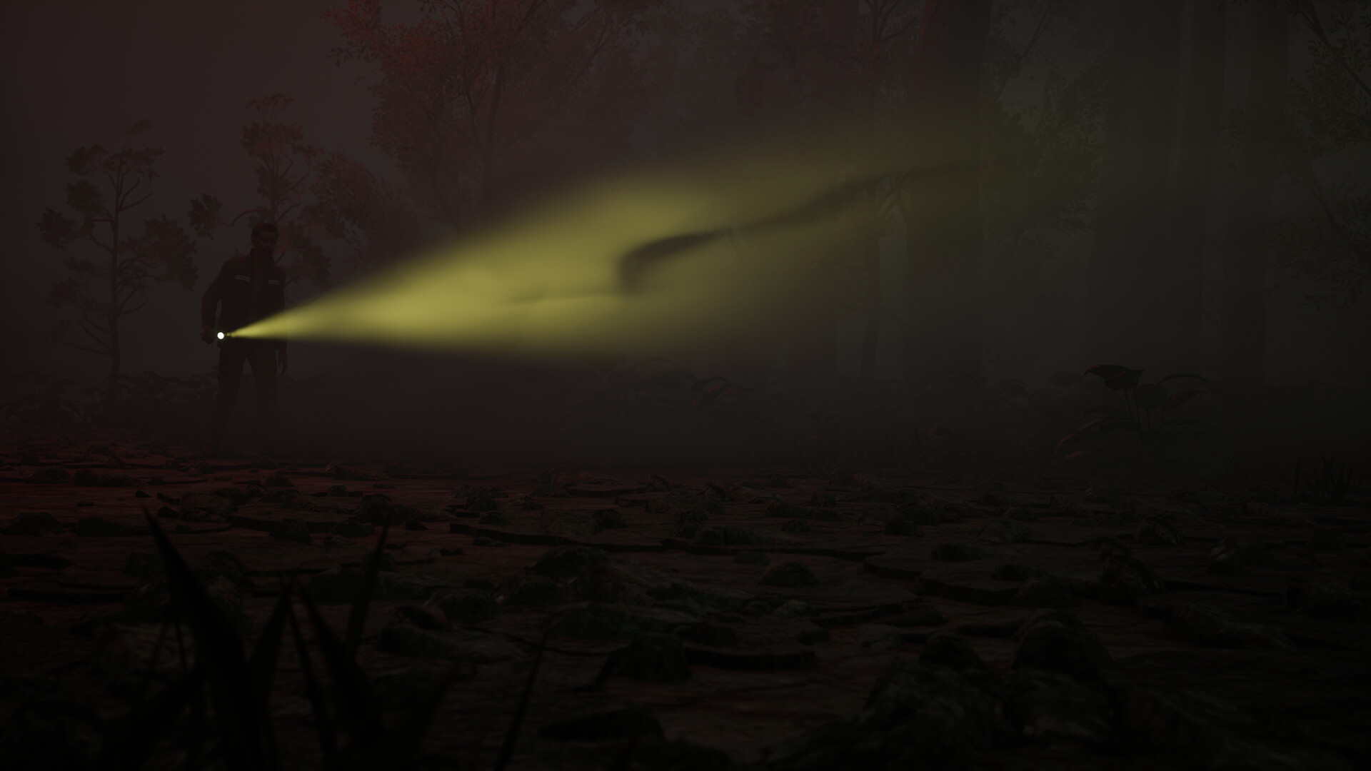 Parman screenshot 2