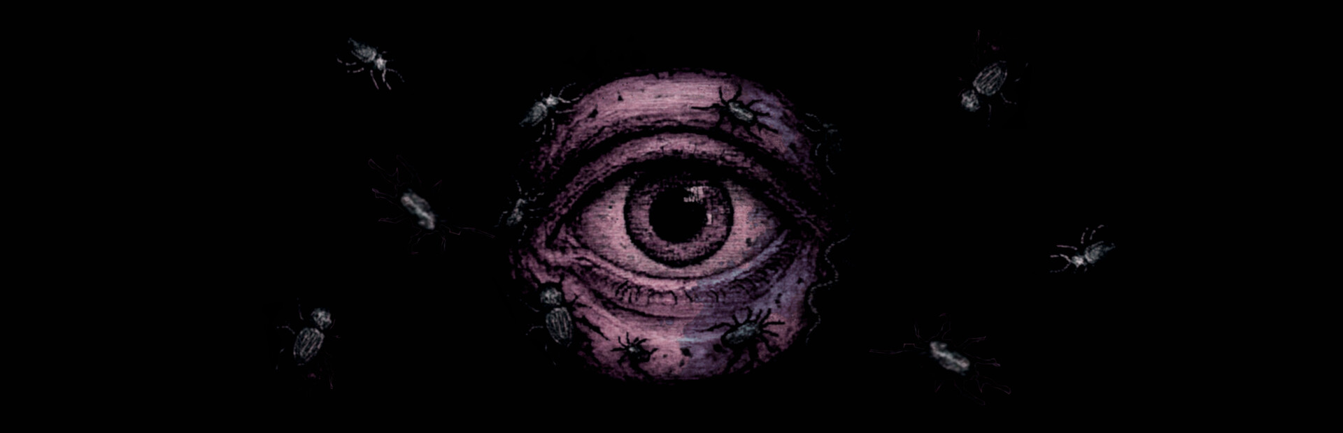Capsule