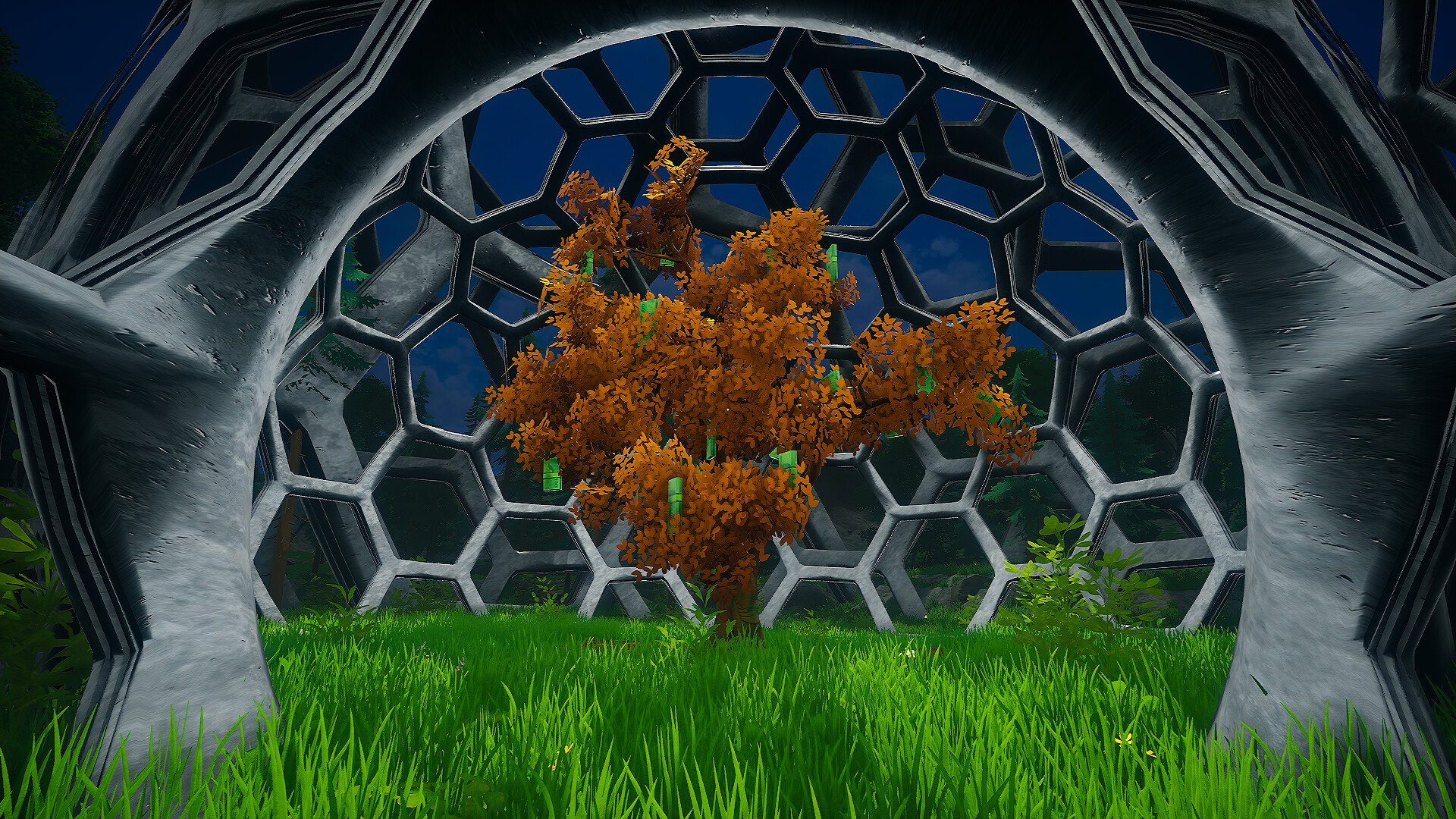 My Money Grows On Trees screenshot 19