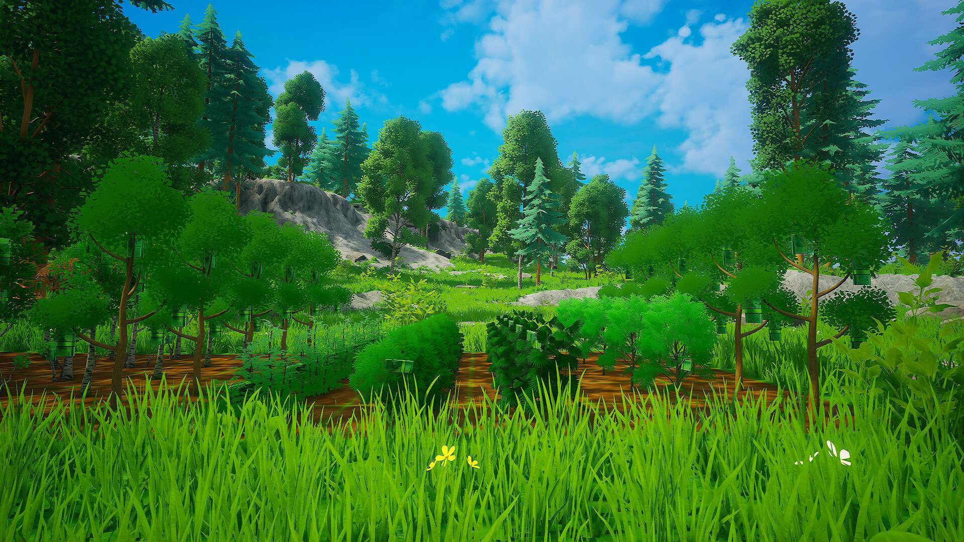 My Money Grows On Trees screenshot 11
