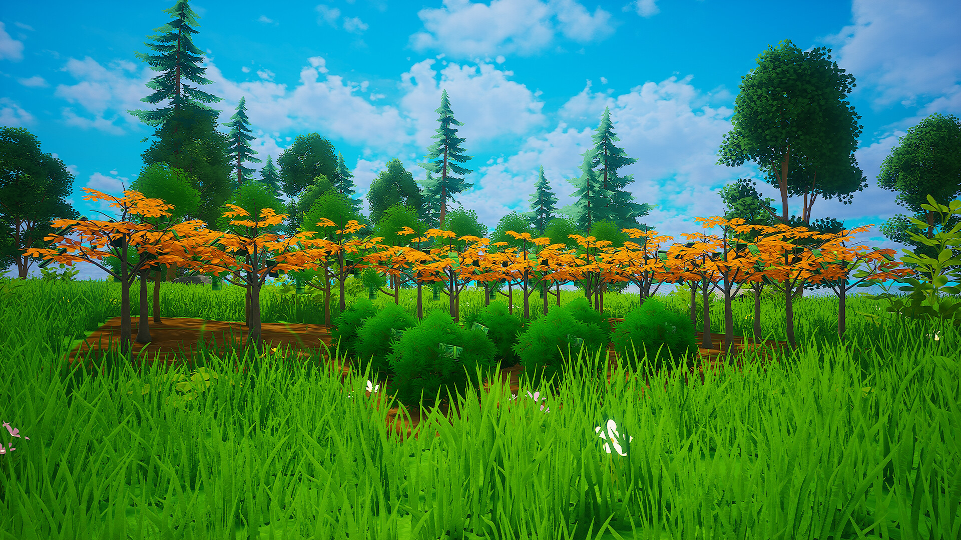My Money Grows On Trees screenshot 21