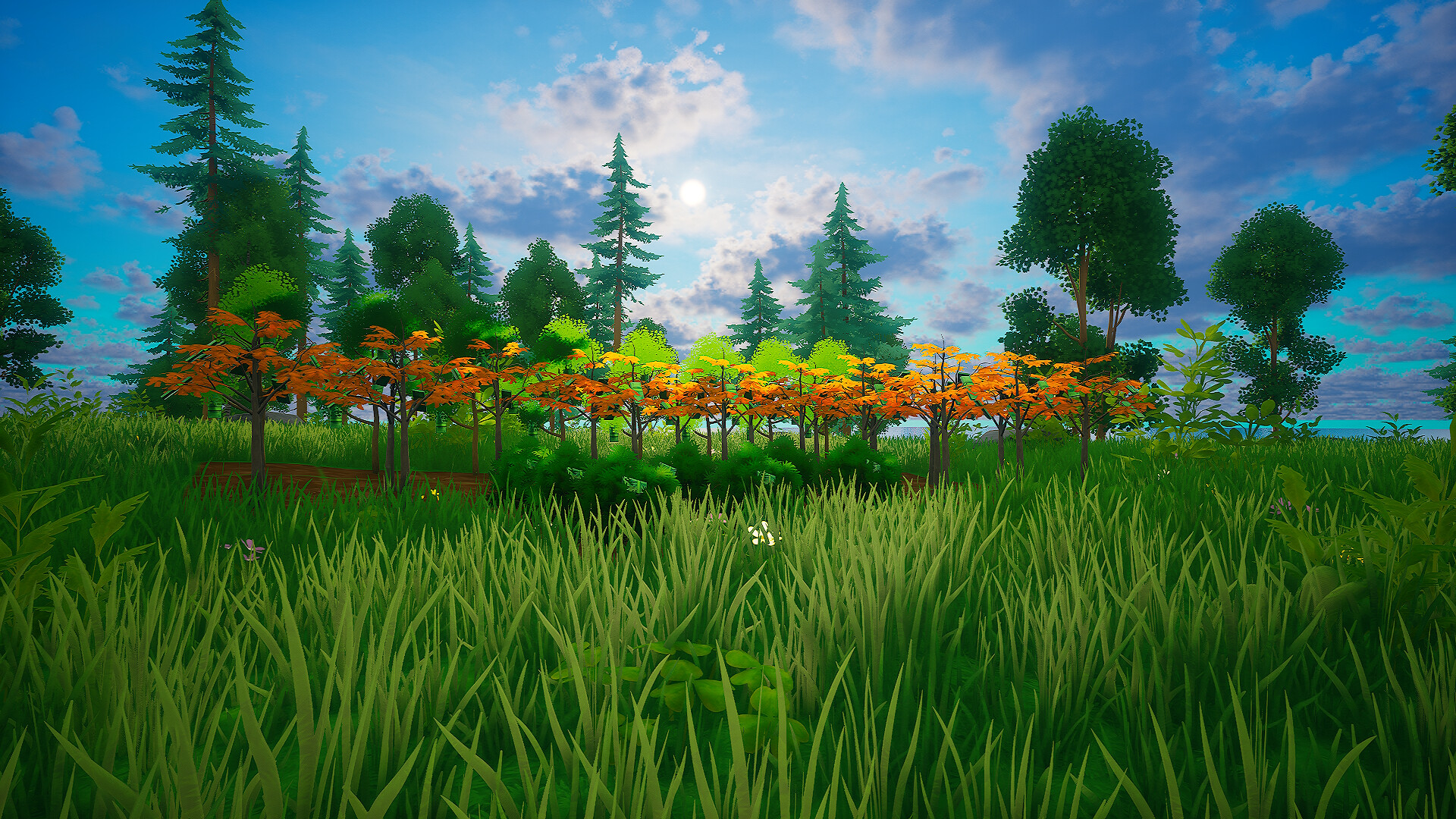 My Money Grows On Trees screenshot 8