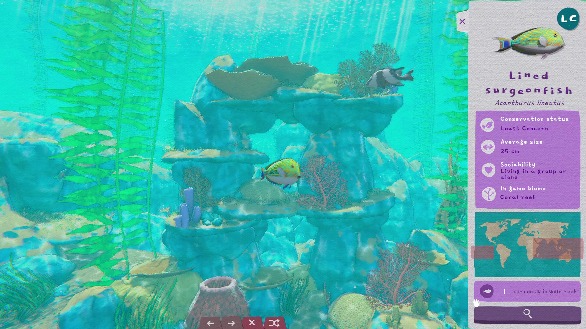 Turquoise screenshot 3