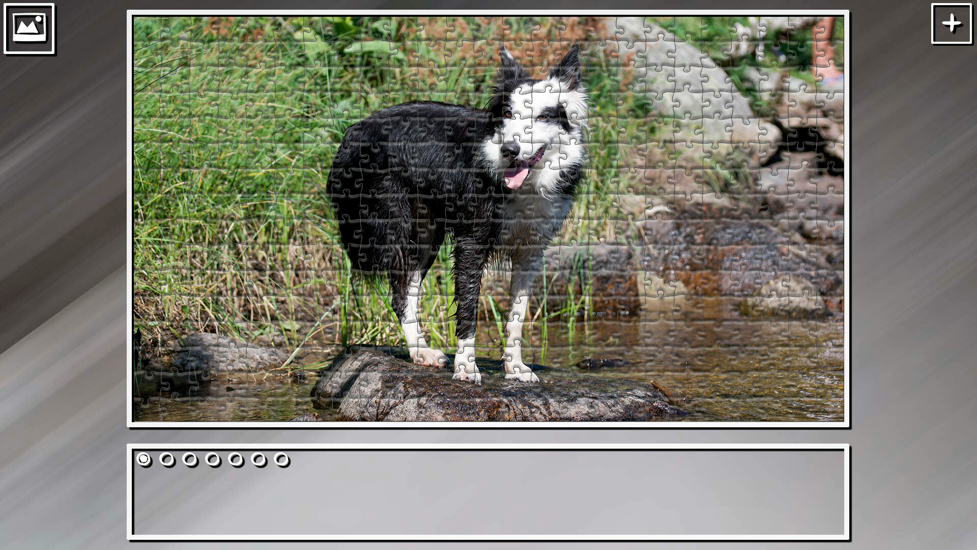 Super Jigsaw Puzzle: Generations - Dogs 3 screenshot 3