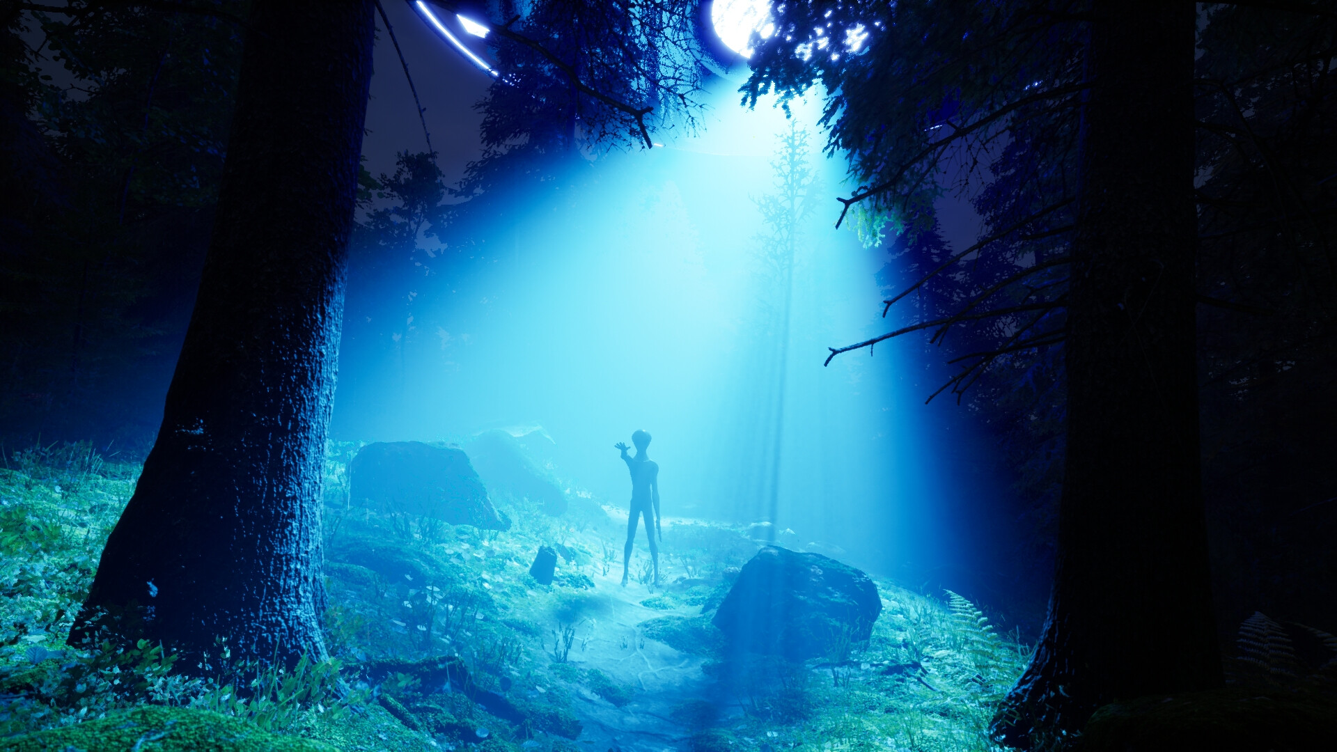 ADAPTATION screenshot 6