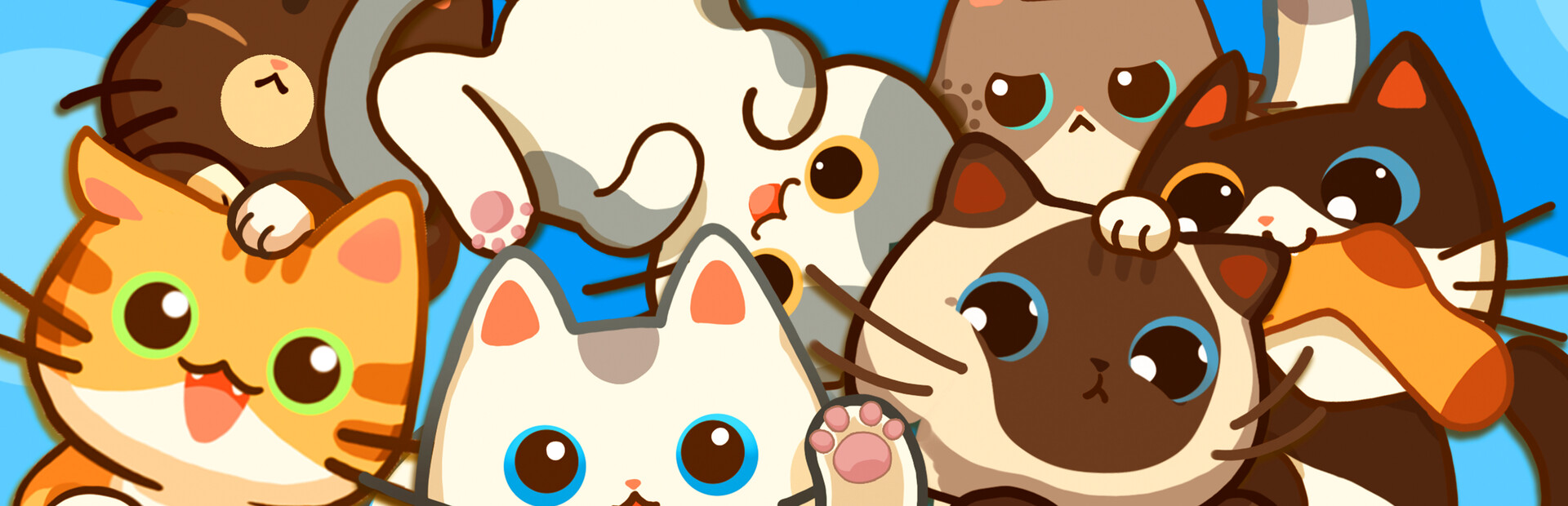 Meowniverse