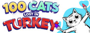 100 Cats Lost in Turkey