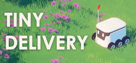 Tiny Delivery Cover Image