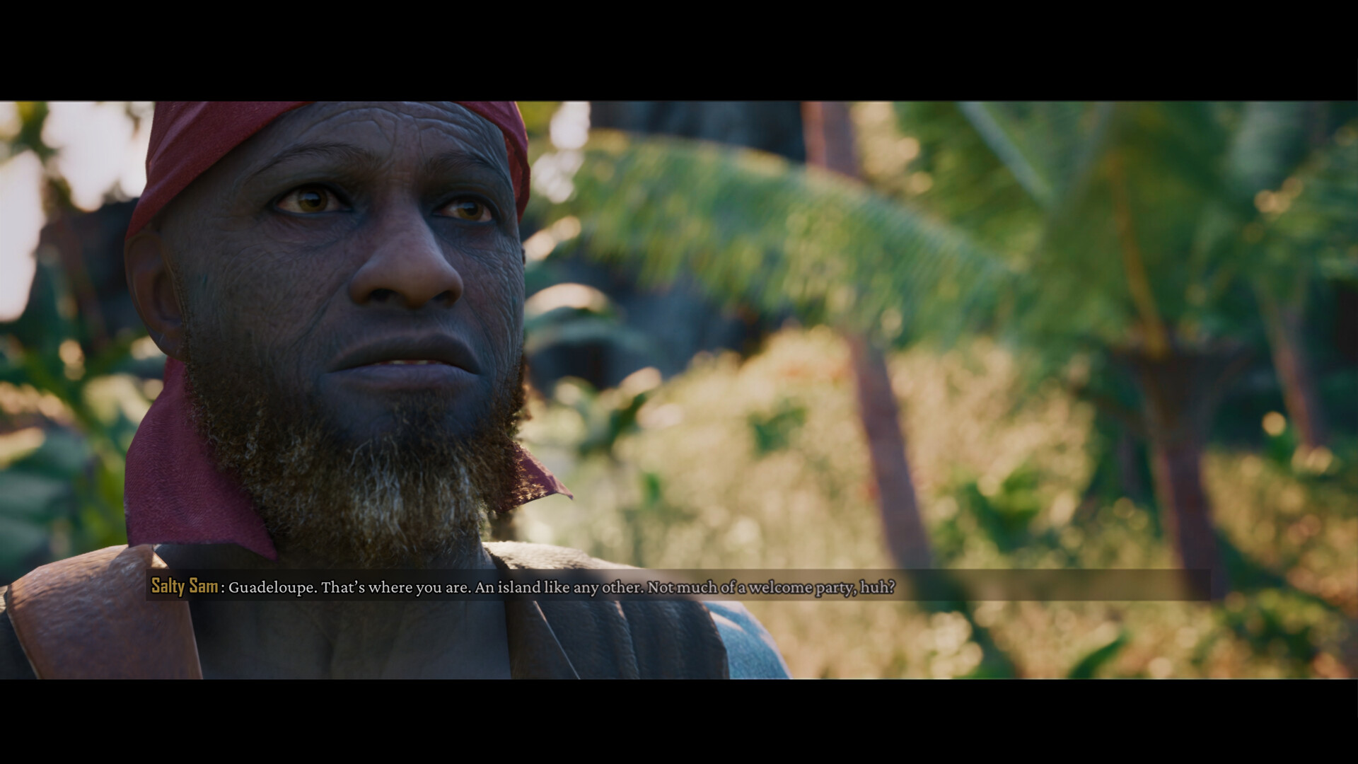 Caribbean Tide screenshot 5