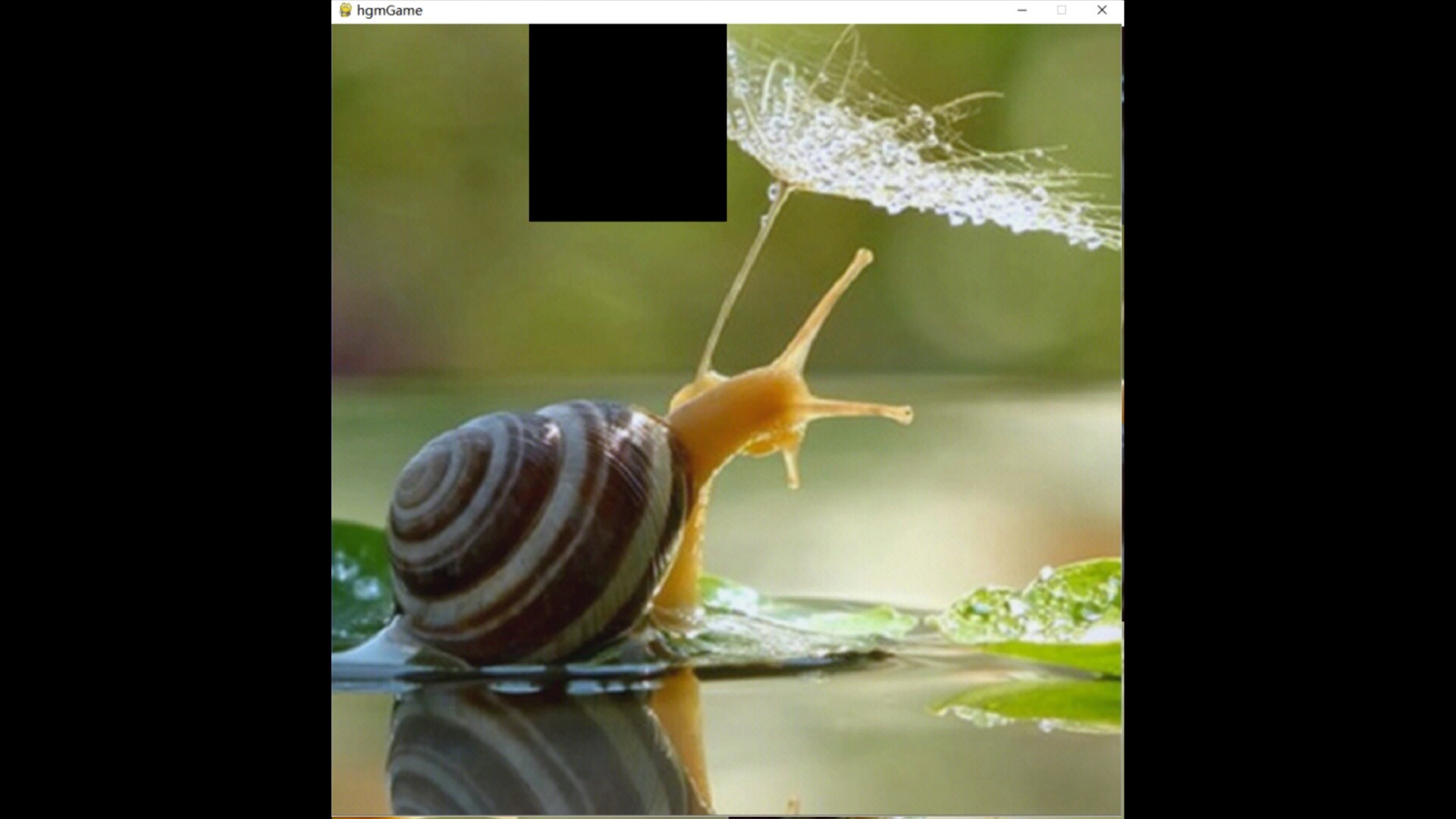 hgmGame-snail screenshot 1