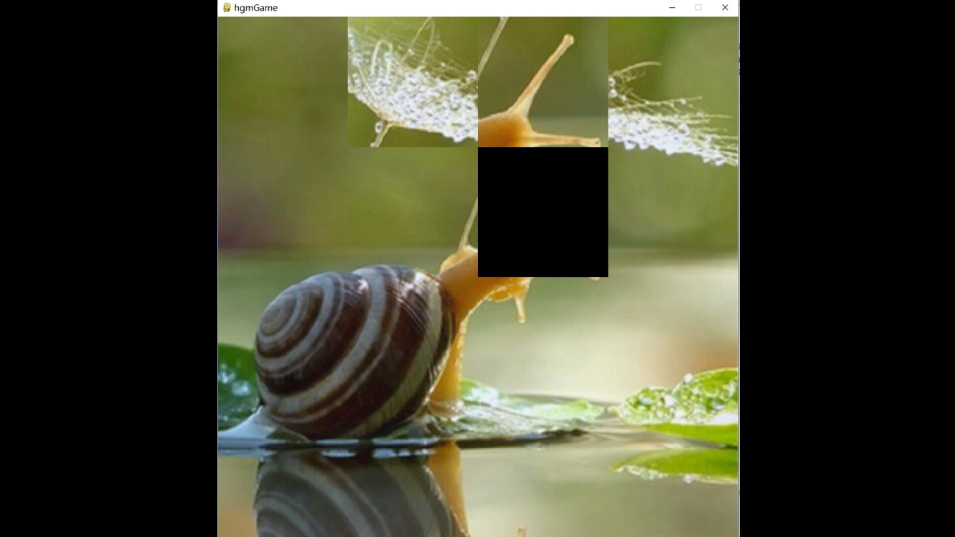 hgmGame-snail screenshot 4