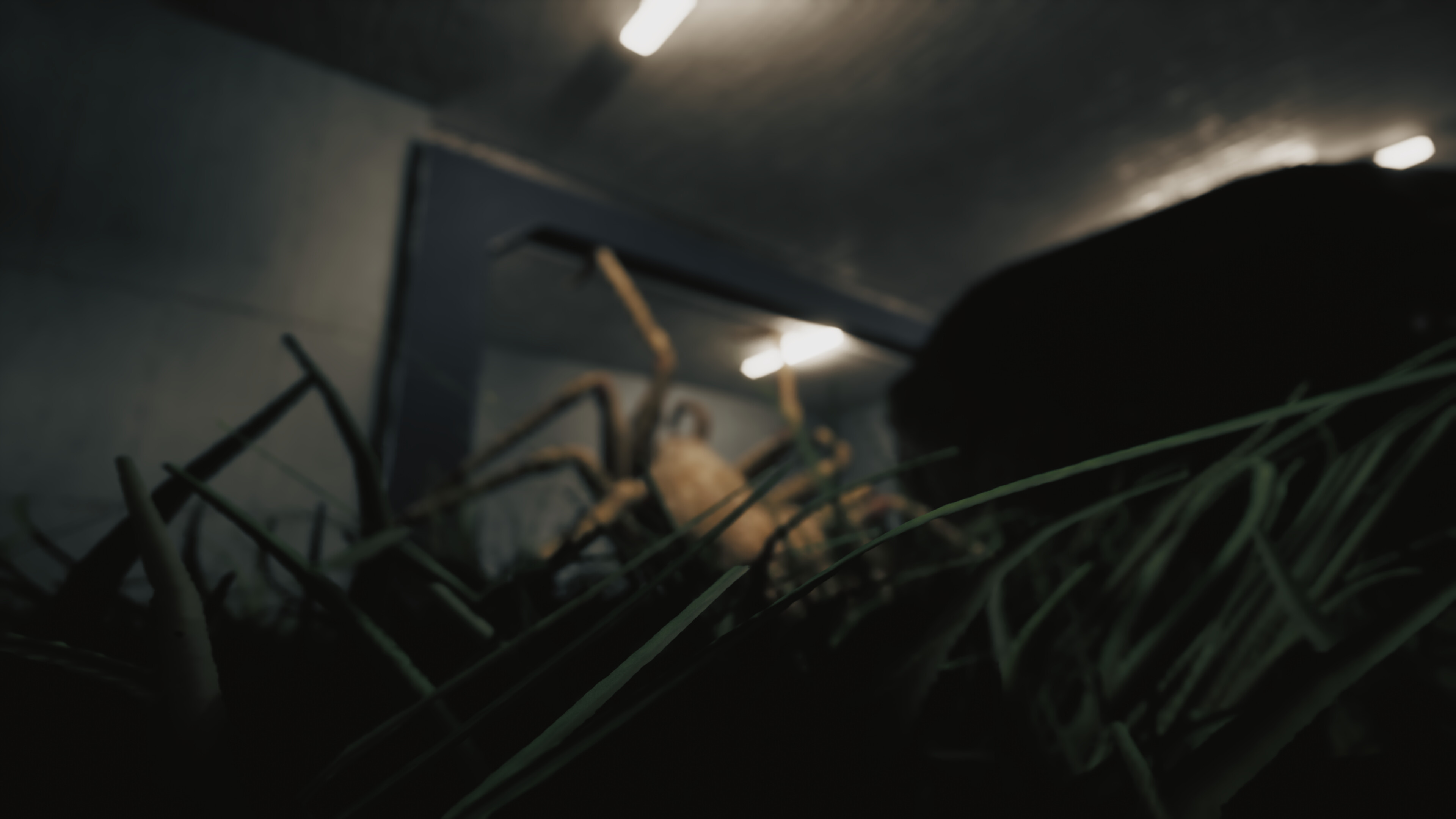 Huntsman screenshot 9