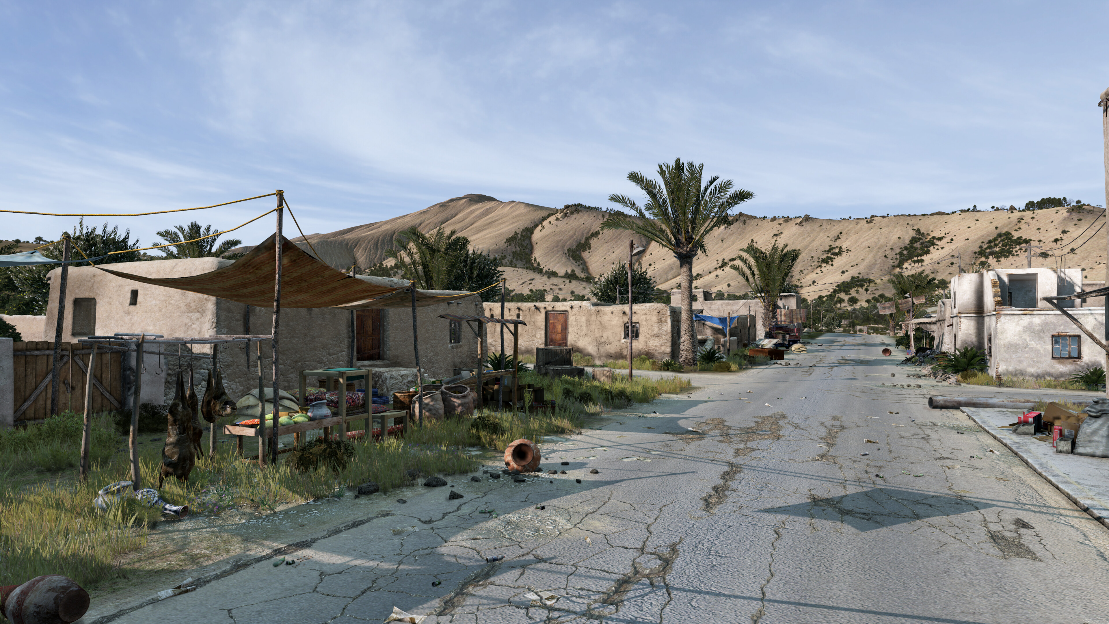 DayZ Badlands screenshot 5
