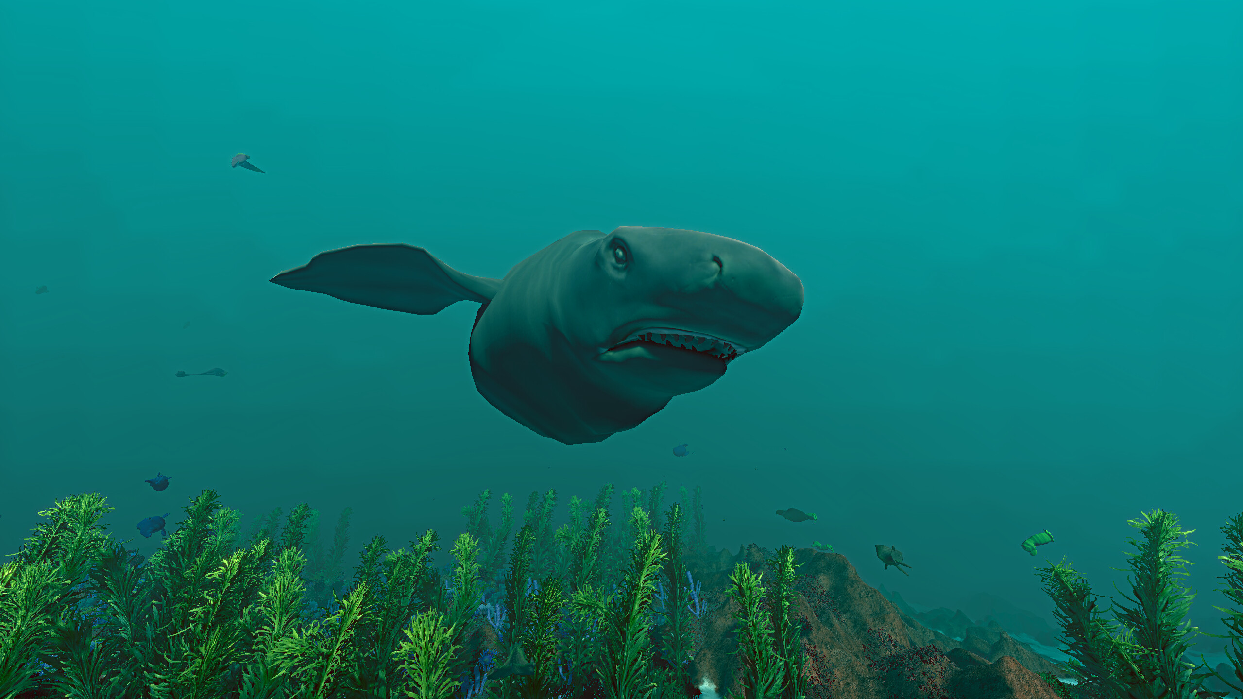 Ecosystem - Tropical Fish Pack screenshot 7