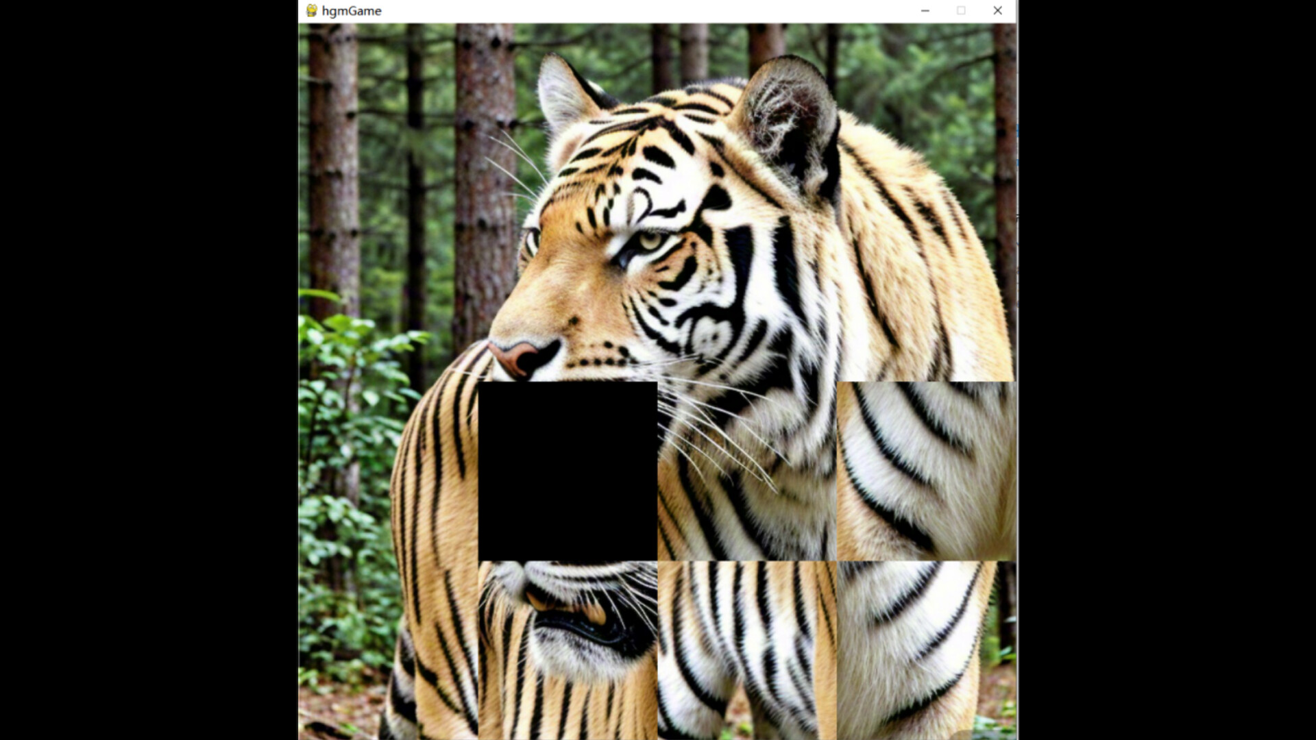 hgmGame-tiger screenshot 5