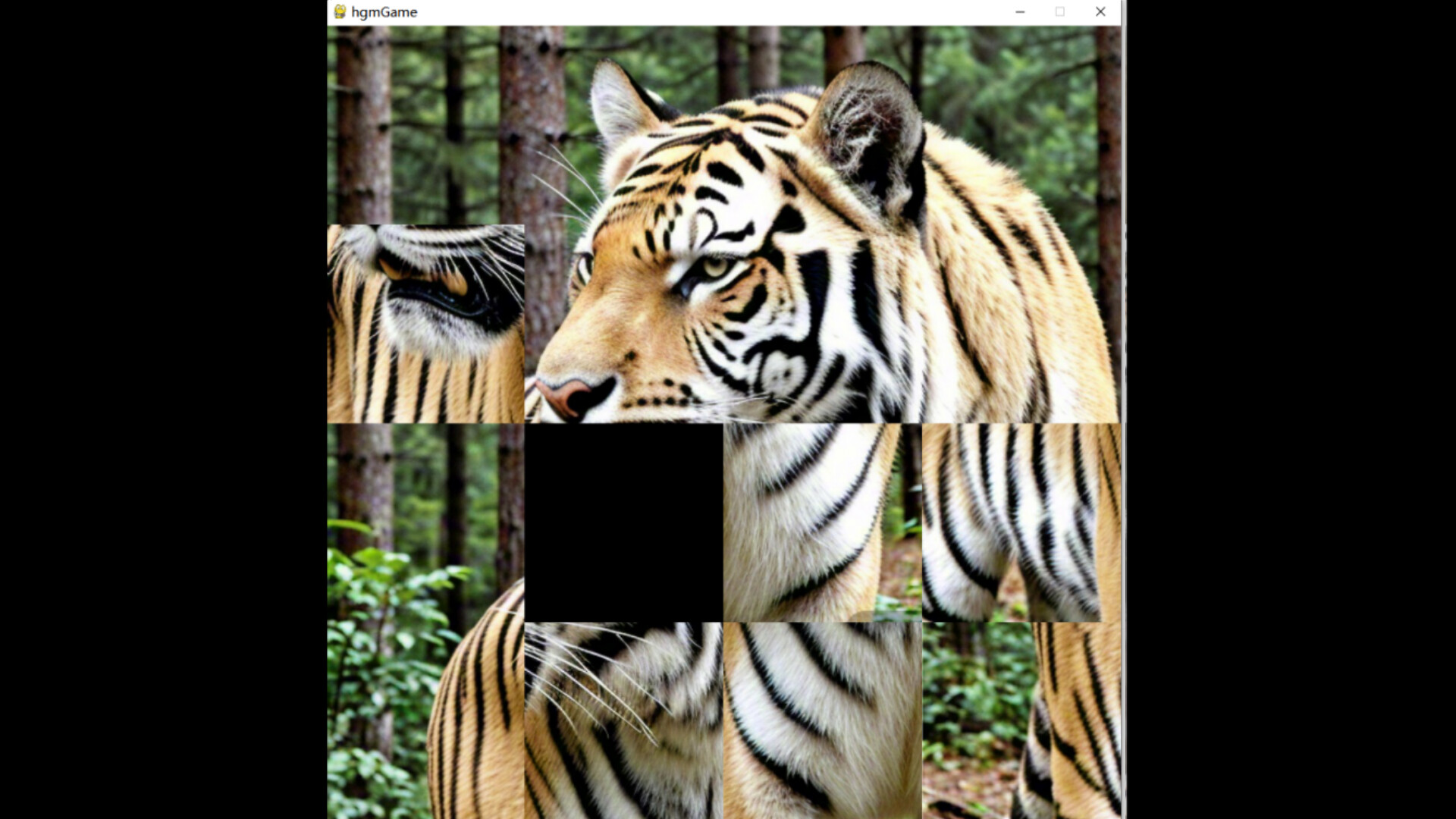 hgmGame-tiger screenshot 1