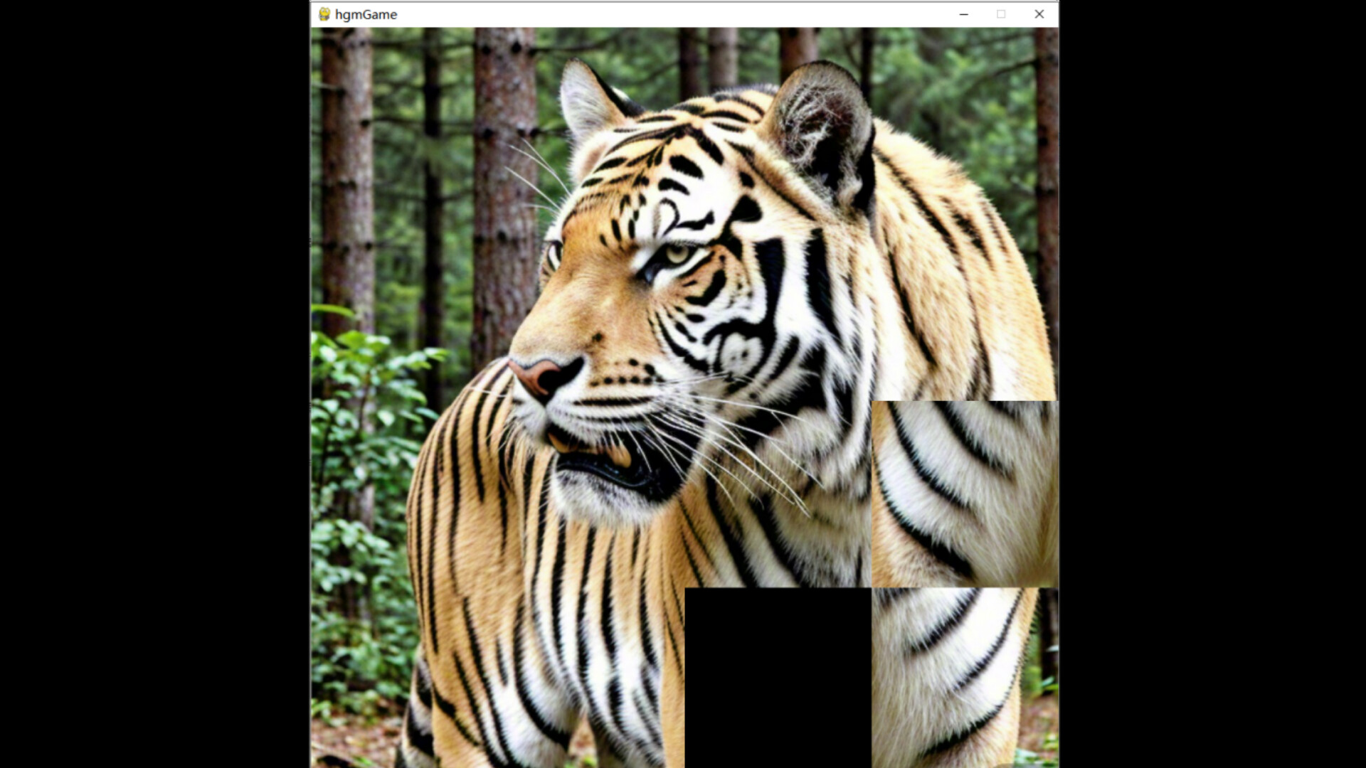 hgmGame-tiger screenshot 3