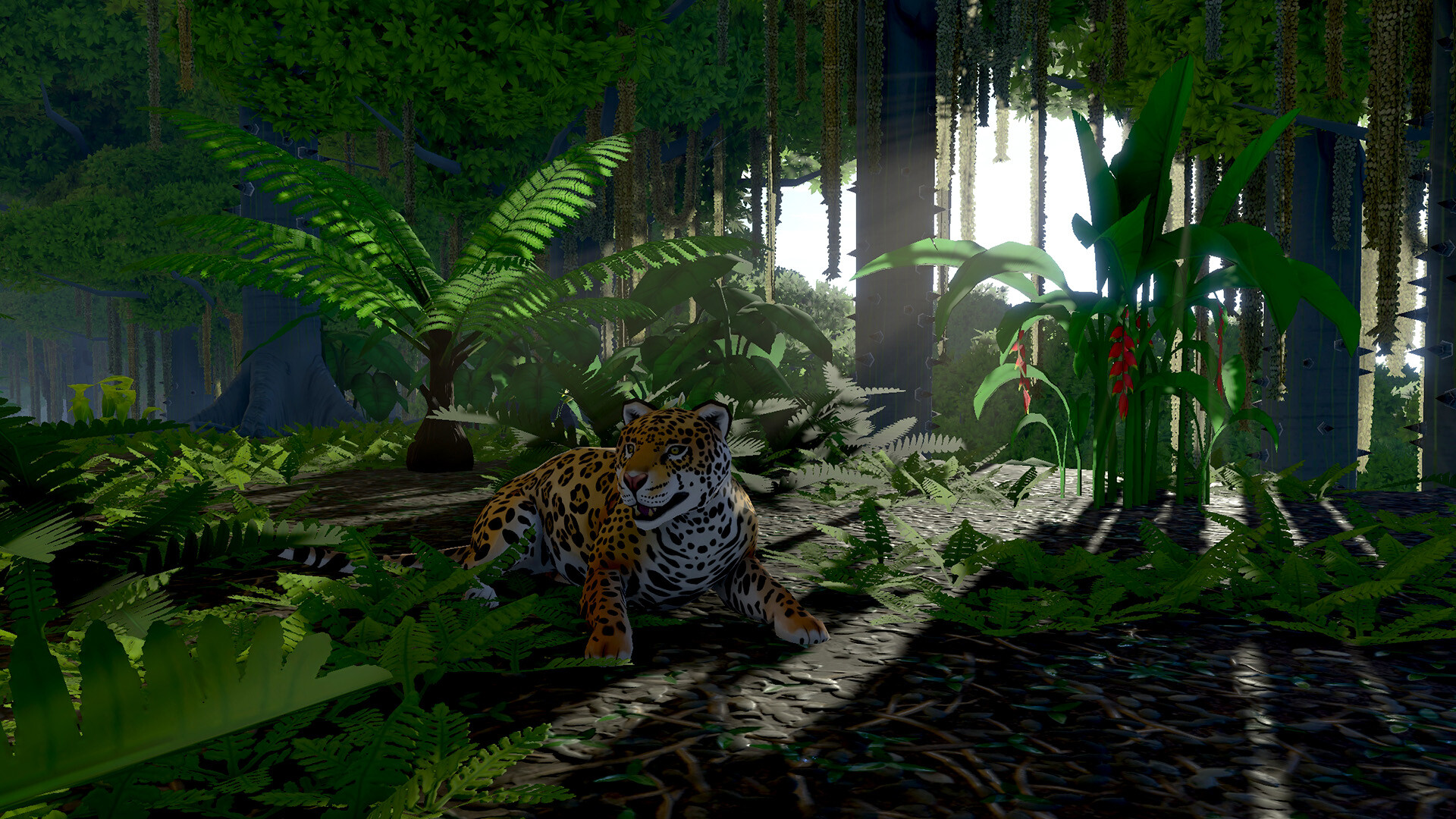Eco screenshot 28